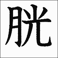 漢字「胱」の教科書体イメージ