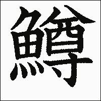 漢字「鱒」の教科書体イメージ