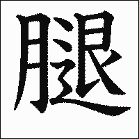 漢字「腿」の教科書体イメージ