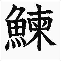 漢字「鰊」の教科書体イメージ
