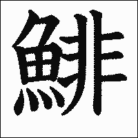 漢字「鯡」の教科書体イメージ