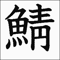 漢字「鯖」の教科書体イメージ