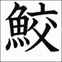 漢字「鮫」の教科書体イメージ