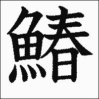 漢字「鰆」の教科書体イメージ