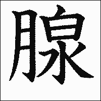 漢字「腺」の教科書体イメージ