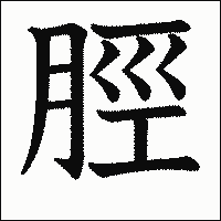 漢字「脛」の教科書体イメージ