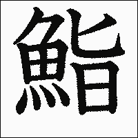漢字「鮨」の教科書体イメージ