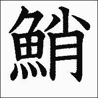 漢字「鮹」の教科書体イメージ