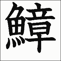 漢字「鱆」の教科書体イメージ