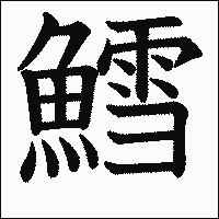 漢字「鱈」の教科書体イメージ