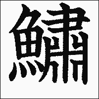 漢字「鱐」の教科書体イメージ