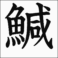 漢字「鰔」の教科書体イメージ