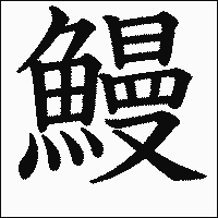 漢字「鰻」の教科書体イメージ