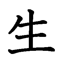 漢字「生」の筆順(書き順)解説アニメーション