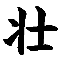 漢字「壮」の筆順(書き順)解説アニメーション