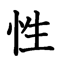 漢字「性」の筆順(書き順)解説アニメーション