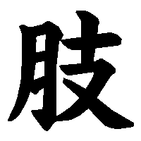 漢字「肢」の筆順(書き順)解説アニメーション