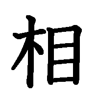 漢字「相」の筆順(書き順)解説アニメーション