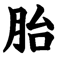 漢字「胎」の筆順(書き順)解説アニメーション
