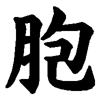 漢字「胞」の筆順(書き順)解説アニメーション