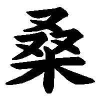 漢字「桑」の筆順(書き順)解説アニメーション