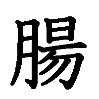 漢字「腸」の筆順(書き順)解説アニメーション