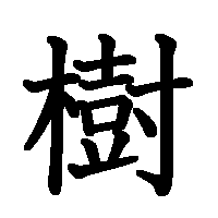 漢字「樹」の筆順(書き順)解説アニメーション