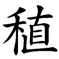 漢字「稙」の筆順(書き順)解説アニメーション