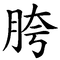 漢字「胯」の筆順(書き順)解説アニメーション
