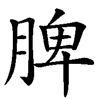 漢字「脾」の筆順(書き順)解説アニメーション