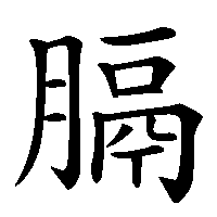 漢字「膈」の筆順(書き順)解説アニメーション