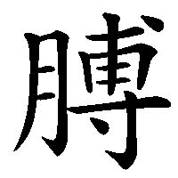 漢字「膊」の筆順(書き順)解説アニメーション