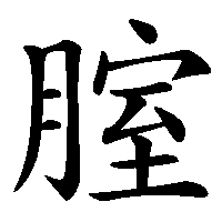 漢字「腟」の筆順(書き順)解説アニメーション