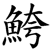 漢字「鮬」の筆順(書き順)解説アニメーション