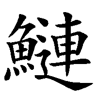 漢字「鰱」の筆順(書き順)解説アニメーション