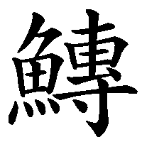 漢字「鱄」の筆順(書き順)解説アニメーション