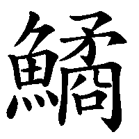 漢字「鱊」の筆順(書き順)解説アニメーション