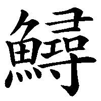 漢字「鱘」の筆順(書き順)解説アニメーション