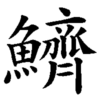 漢字「鱭」の筆順(書き順)解説アニメーション