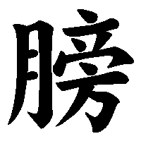 漢字「膀」の筆順(書き順)解説アニメーション