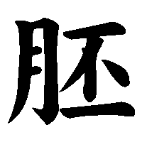 漢字「胚」の筆順(書き順)解説アニメーション