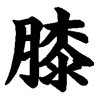 漢字「膝」の筆順(書き順)解説アニメーション
