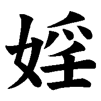 漢字「婬」の筆順(書き順)解説アニメーション