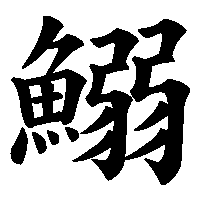 漢字「鰯」の筆順(書き順)解説アニメーション