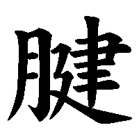 漢字「腱」の筆順(書き順)解説アニメーション