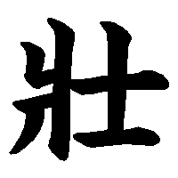 漢字「壯」の筆順(書き順)解説アニメーション