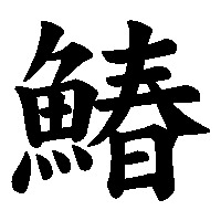 漢字「鰆」の筆順(書き順)解説アニメーション