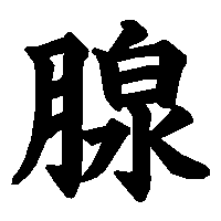 漢字「腺」の筆順(書き順)解説アニメーション