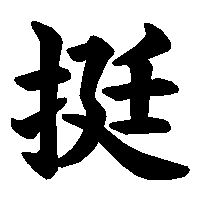 漢字「挺」の筆順(書き順)解説アニメーション