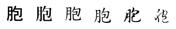 漢字「胞」の書体による違い 漢字「胞」の書体による違い